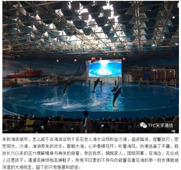 九五至尊VI-老品牌值得信任!